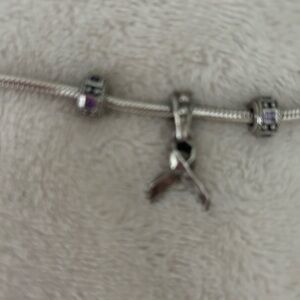 Pandora Silver Charm Bracelet with four Pandora Charms